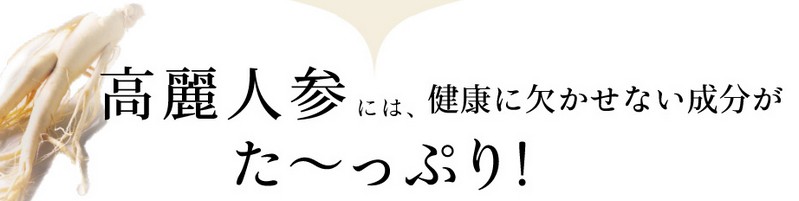 ����l�Q�y�g�Q�^�u���b�g�z���T�C�g